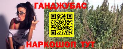 прущие грибы Краснознаменск