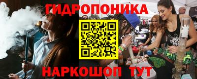 прущие грибы Краснознаменск